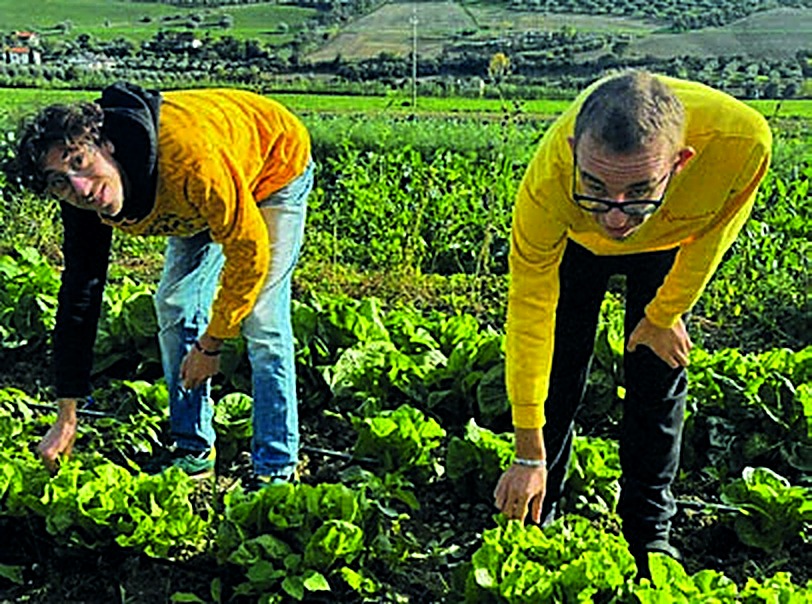 Attività di agricoltura sociale al centro Rurabilandia