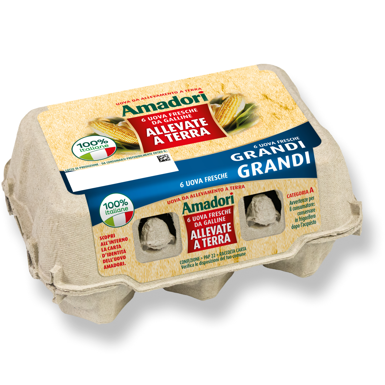 Uova da allevamento a terra
